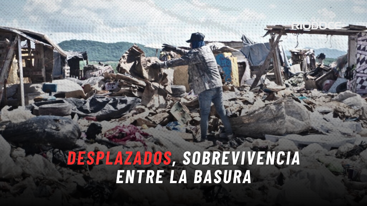 Desplazados, sobrevivencia entre la basura