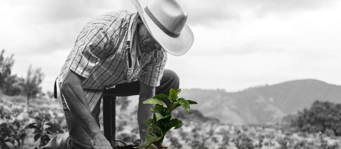 COP26, México y el acuerdo para proteger los bosques-SEMBRANDO VIDA
