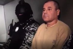Chapo Guzman3