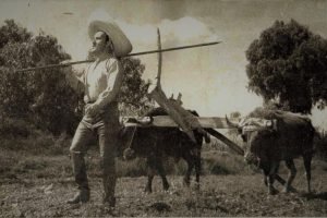 EL BARZÓN DE PÉREZ MEZA. Y siempre la yunta andando.
