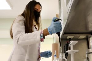 Elisa genética-1