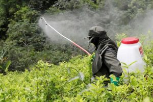 Monsanto 72
