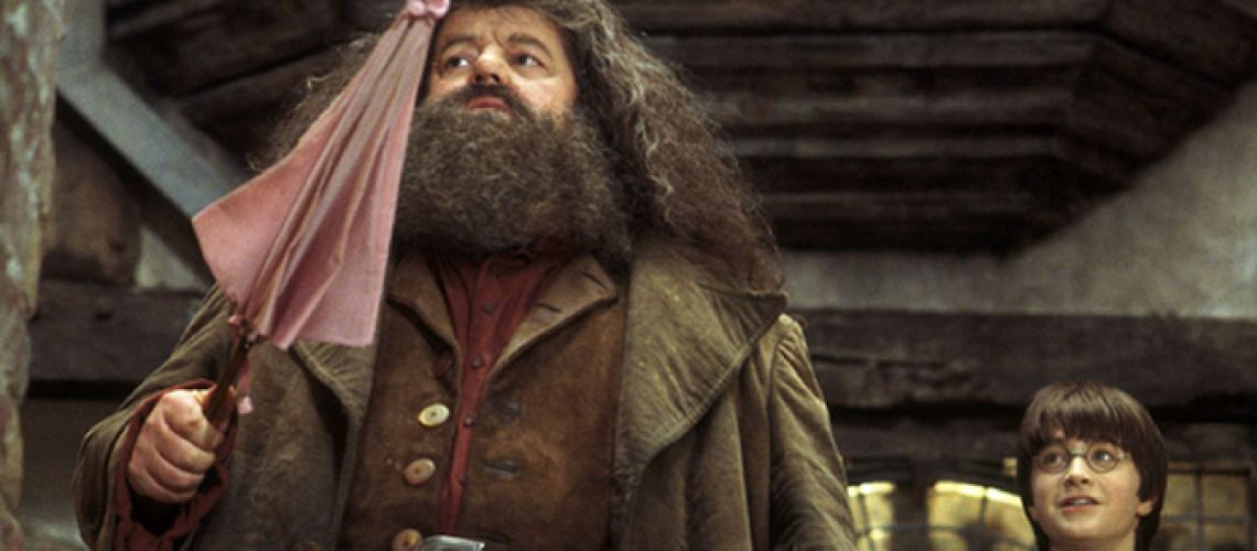 Rubeus-Hagrid