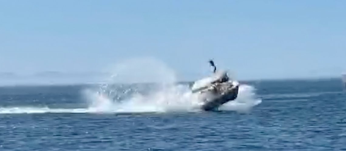 bote choca con ballena en baja california sur