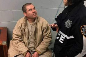 el chapo