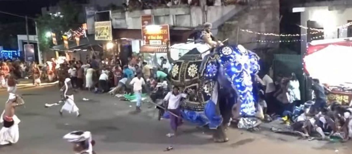 elefante-contra-asistentes-a-procesion-religiosa