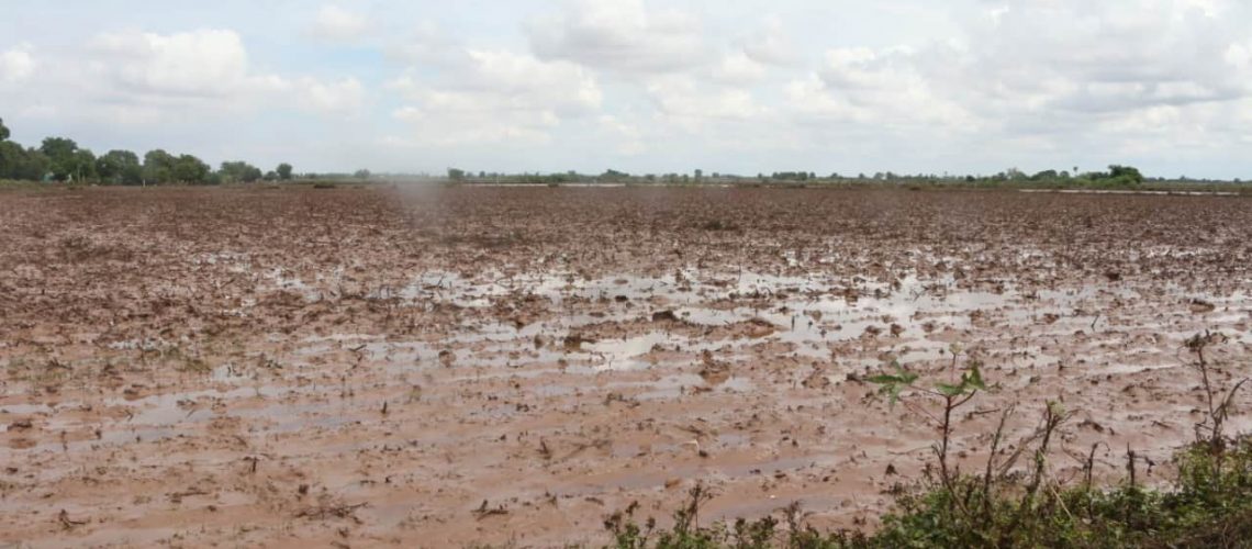 inundaciones-cultivos