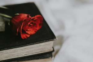 UN LIBRO Y UNA ROSA ROJA.  Símbolo universal.