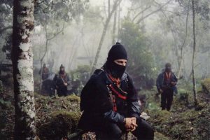 marcos en la selva