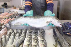 pescado blanco